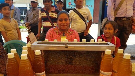 Organic Well, la plataforma guatemalteca finalista en los Premios Verdes 2022