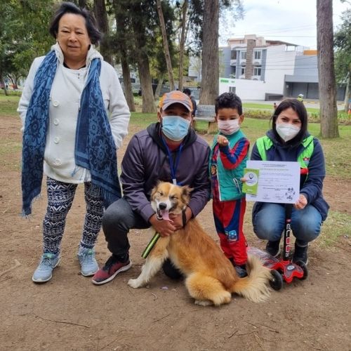 feria de adopciones