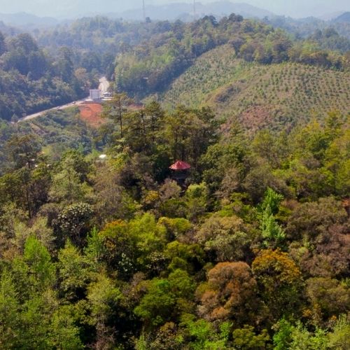mirador para observar aves