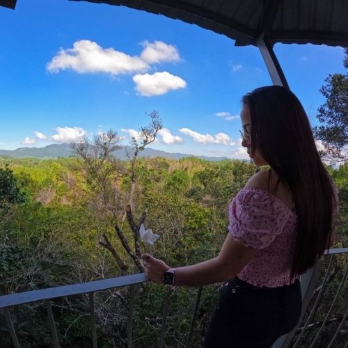 nuevo mirador en medio del bosque Orquigonia