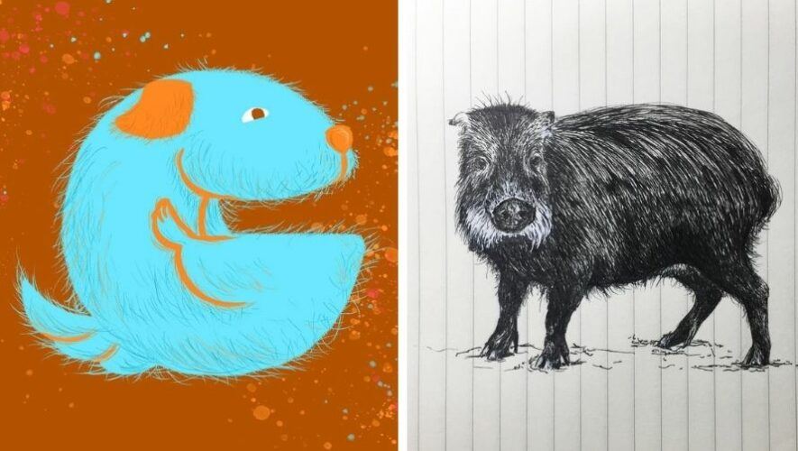 obras de mónica ortiz artista visual