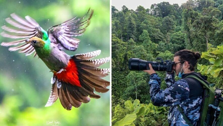 Daniel Nuñez, el guatemalteco que dedica días a fotografiar Quetzales