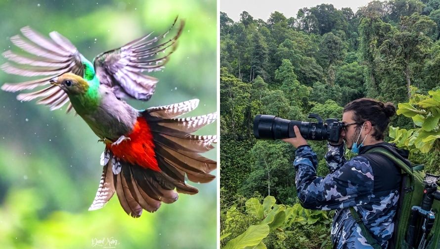 Daniel Nuñez, el guatemalteco que dedica días a fotografiar Quetzales