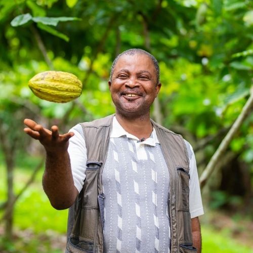 Finca guatemalteca ganó medalla de oro del Cocoa of Excellence Awards