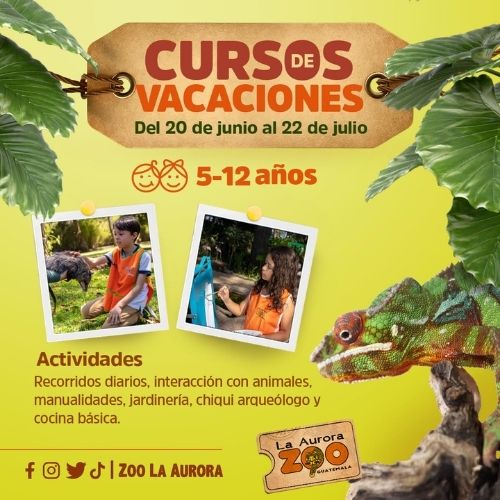 Parque Nacional Zoológico La Aurora ofrece curso de vacaciones, junio 2022