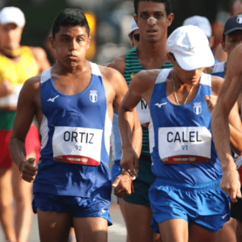jjose ortiz oswaldo calel
