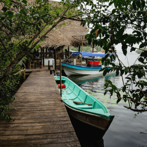 restaurante el manglar