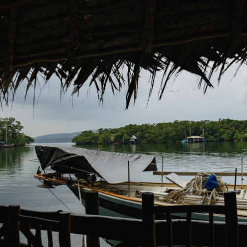 restaurante el manglar2