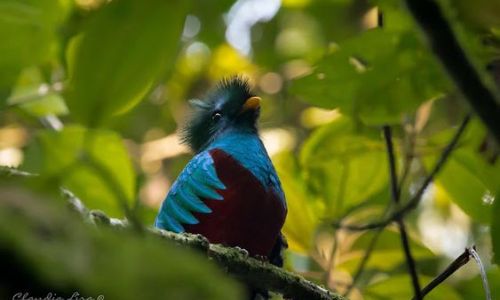Exposición de fotografía Las sin-cuenta de Claudia Lira en Ciudad de Guatemala (1)