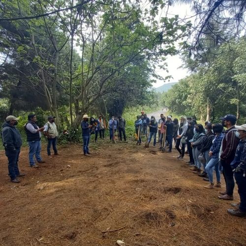 Grupo de personas en una jornada de reforestación Guatemala