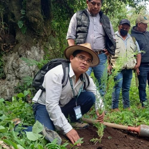 Persona en jornada de reforestación Guatemala