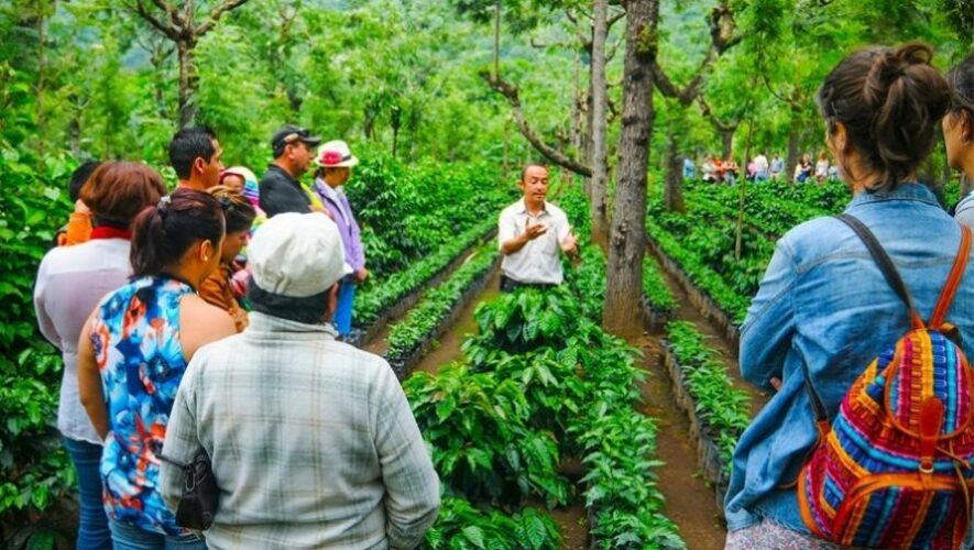 Tour del aguacate en Guatemala | Mayo 2022