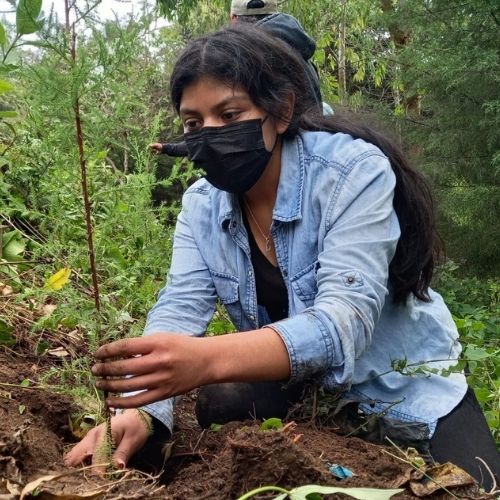 mujer siembra un arbol en Guatemala