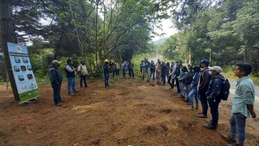 sembrando huella para reforestacion Guatemala