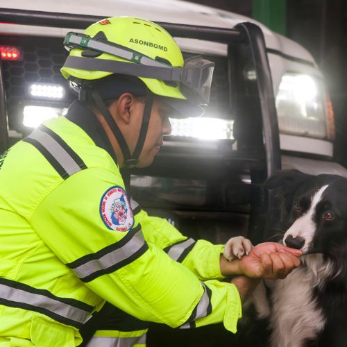 Chofo y Fox en la estación de bomberos