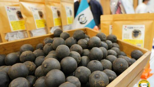 Guatemala participa en la Food Taipei 2022