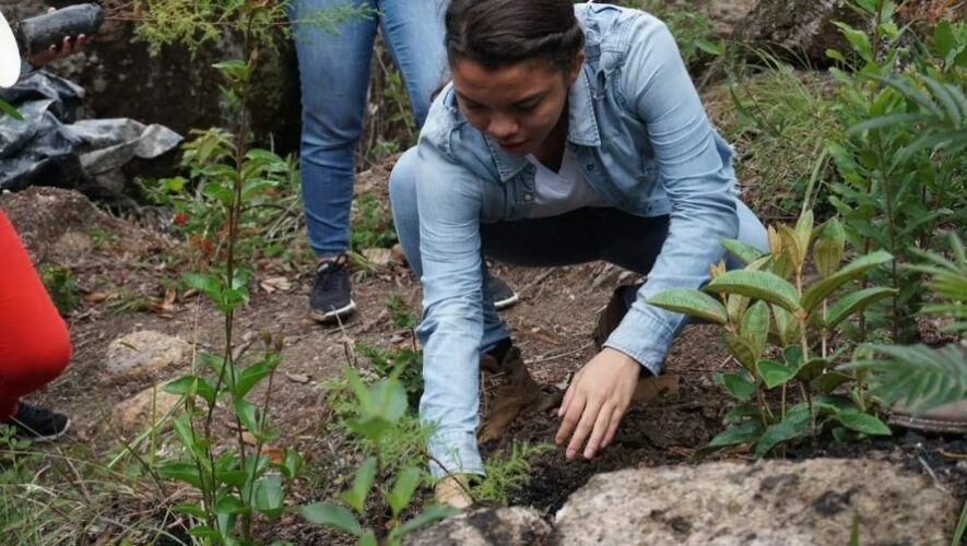 Jornada de reforestaci&oacute;n en Guatemala | Junio 2022