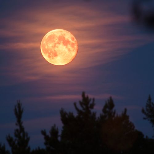 Luna de Fresa Natgeo