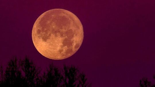 Luna fresa National Geographic