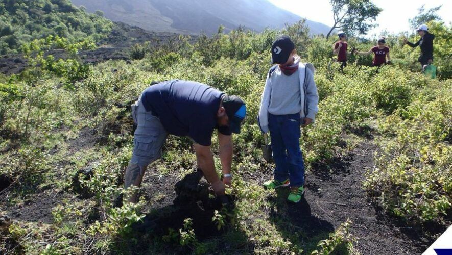 Reforestaci&oacute;n en el Parque Nacional Pacaya | Julio 2022