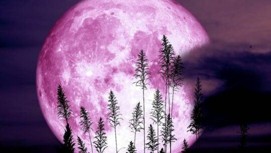 Superluna de Fresa Ecoesfera