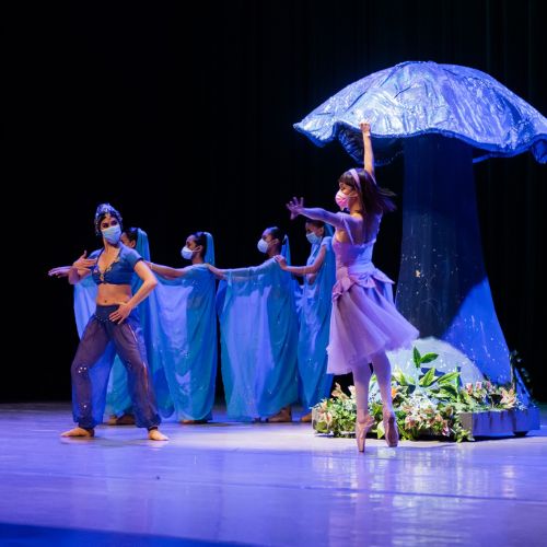Ballet Nacional de Guatemala Christa Mertins celebrará su 74 aniversario en julio de 2,022 