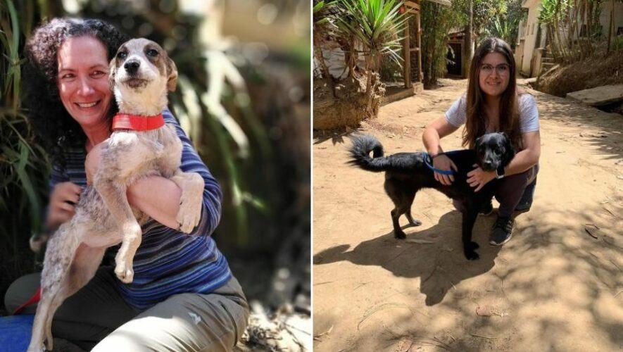 Feria de adopci&oacute;n de mascotas de Animal Aware | 2022