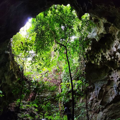 Cuevas La Cobanerita en San Benito Petén Guatemala