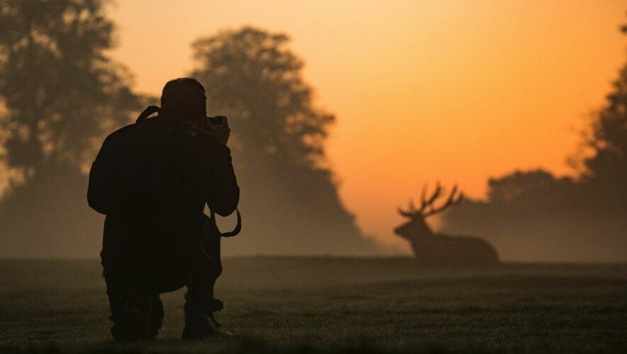 Curso de Fotograf&iacute;a de Vida Silvestre en Ciudad de Guatemala | Octubre 2022