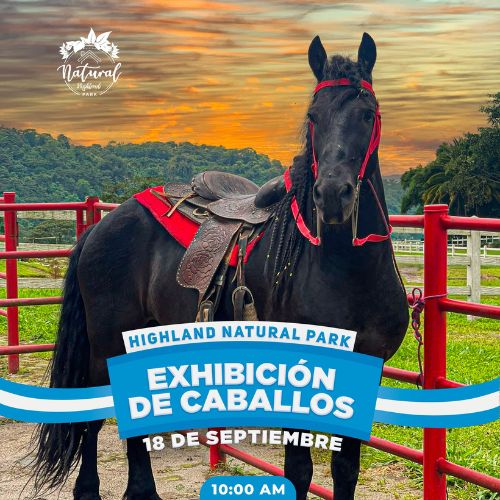 Exhibición de caballos en Guatemala