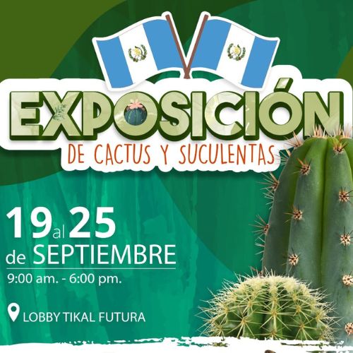 Exposición de cactus y suculentas en Ciudad de Guatemala 2022