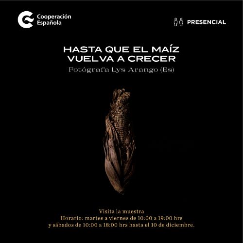 Exposición fotográfica Hasta que el maíz vuelva a crecer 2022