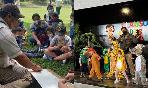 Kinder Zoo, curso para niños en el Zoológico La Aurora 2022