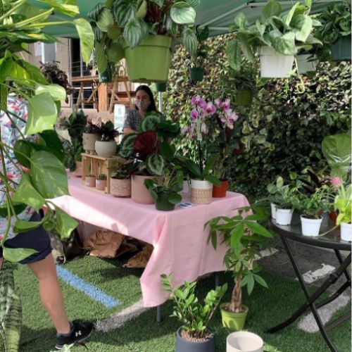 Pasadena Roots, una tienda guatemalteca de plantas móvil en California (3)