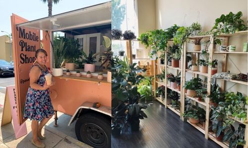 Pasadena Roots, una tienda guatemalteca de plantas móvil en California (4)