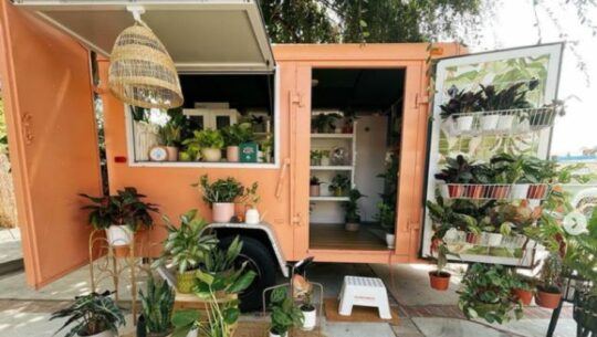 Pasadena Roots, una tienda guatemalteca de plantas móvil en California