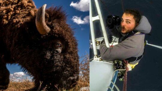 Sergio Izquierdo realizó una expedición en México para documentar la migración de bisontes
