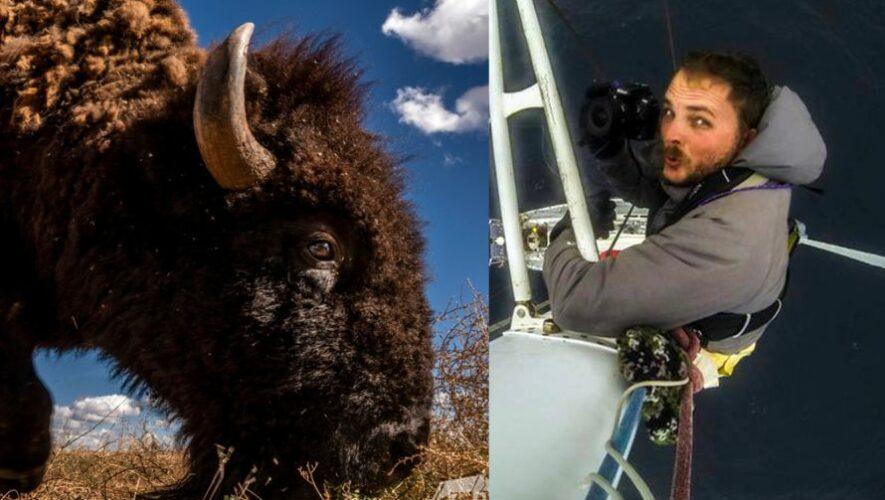 Sergio Izquierdo realizó una expedición en México para documentar la migración de bisontes