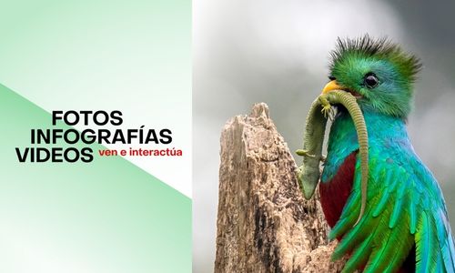 Exposición sobre el Quetzal en Ciudad de Guatemala 2022