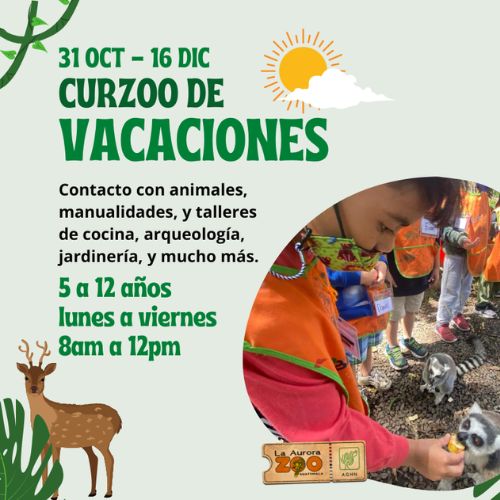 Póster informativo sobre el Curso de vacaciones para niños en el Zoológico La Aurora, octubre 2022