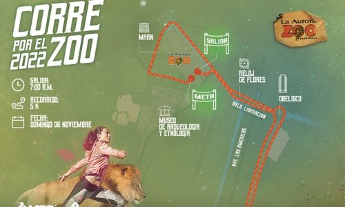 Recorrido de la 13 edición de la Carrera «Corre por el Zoo» en Guatemala Noviembre 2022