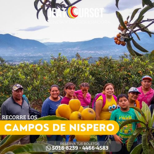 Tour del Níspero en Antigua Guatemala 2022