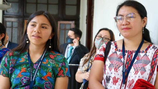 Traducirán documentos científicos a idiomas mayas