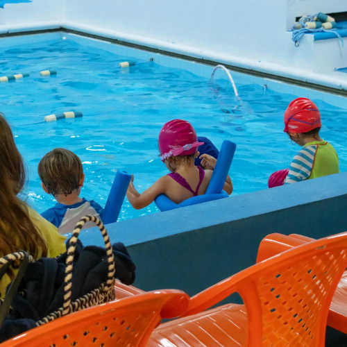 curso de vacaciones deportivos 2022 delfines