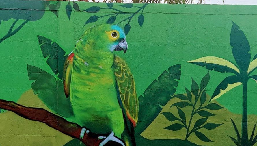 Artistas realizan murales de aves guatemaltecas en Izabal