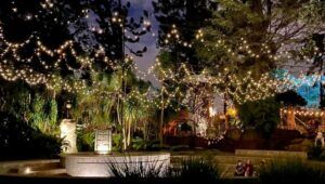 Fiesta de fin a&ntilde;o en el Zool&oacute;gico La Aurora | Diciembre 2022