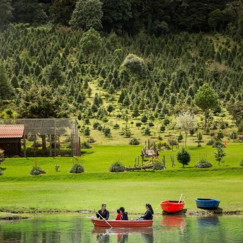 Lanchitas de Finca El Espinero