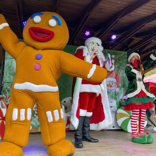 Show navideño de Finca Cienaguilla