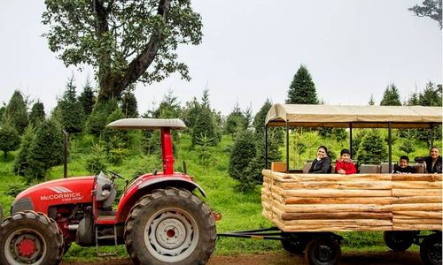 Tour en Carretón de Finca El Espinero