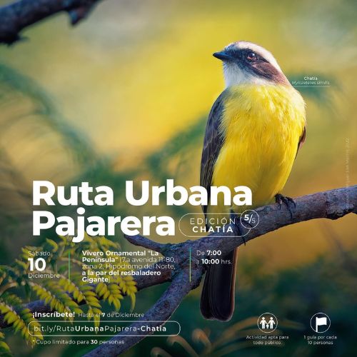 Observación de aves en Vivero Ornamental La Península 2022